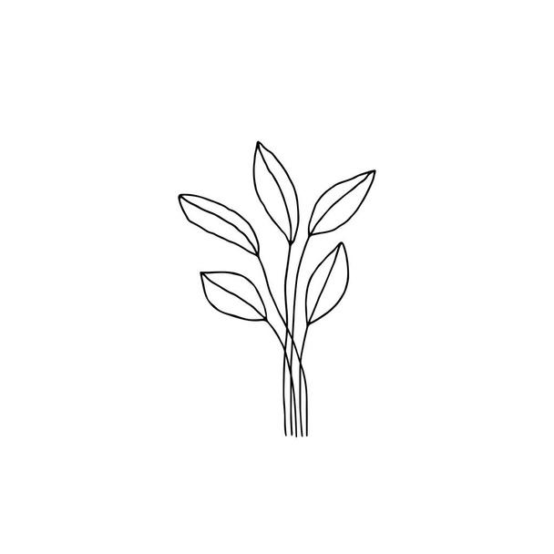 Floral icon, vector graphics. Hand drawn branches with leaves. - Vektör, Görsel