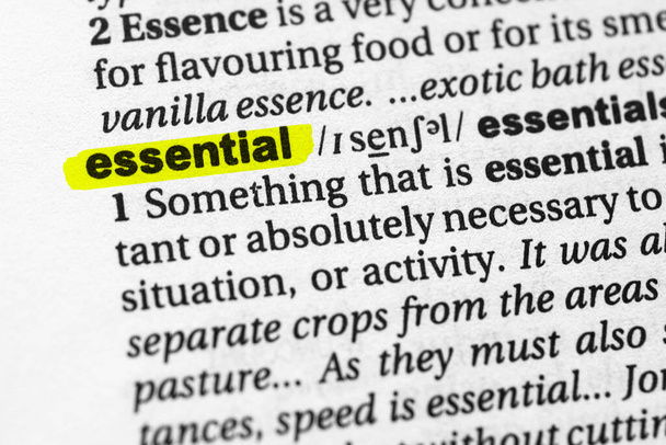 Highlighted word essential concept and meaning. - Photo, Image