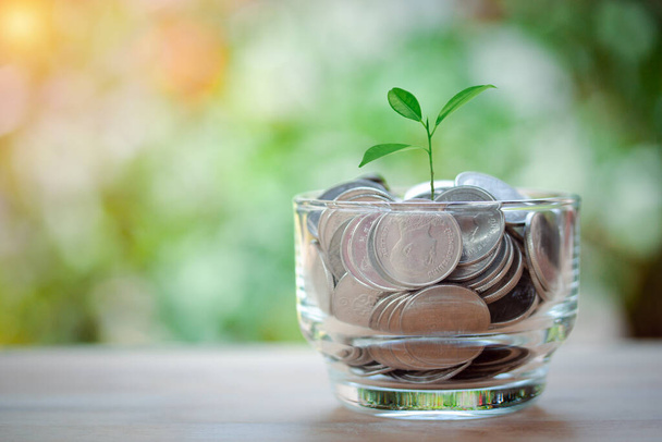 Een glazen pot vol munten en planten opgroeien, geld besparen concept, huis, lening, onderwijs, stap voor de toekomst op bokeh achtergrond. - Foto, afbeelding