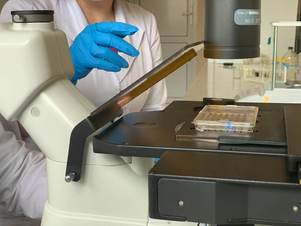 Microscópio invertido laboratorial com placas Terasaki. Análise laboratorial com microscópio. investigação laboratorial. - Foto, Imagem