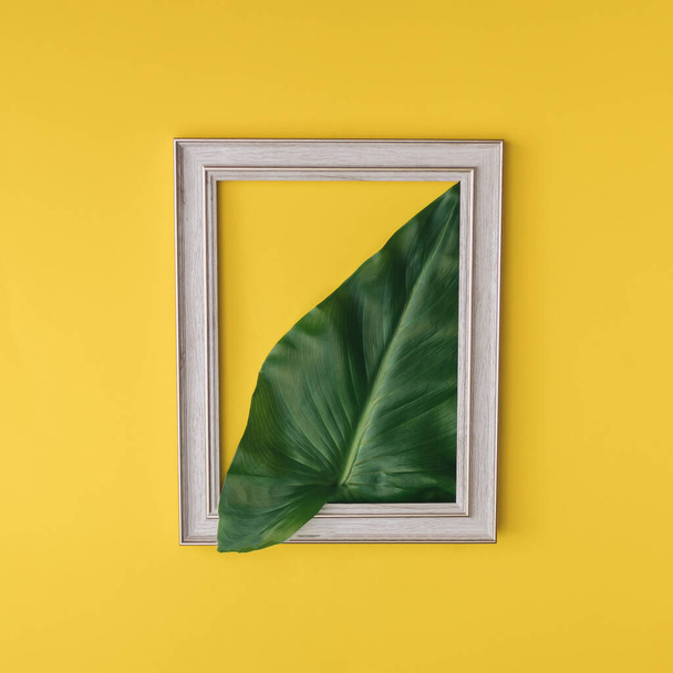 Зеленый пальмовый лист внутри рамы. Желтый фон. - Фото, изображение