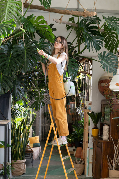 Mujer jardinero en overoles inspeccionados y el cuidado de la exuberante planta de interior monstera en el acogedor jardín en casa - Foto, Imagen
