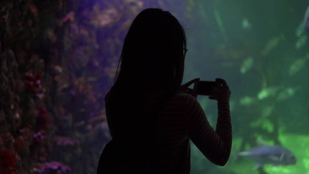 Okyanusta genç bir kadın telefonda deniz yaşamının resimlerini çekiyor. Kız yüzen balığa bakıyor.. - Fotoğraf, Görsel