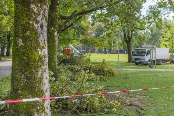 Warning tape in the park because of a storm damage. Fallen tree after a strong summer storm and gusts of wind in Graz, Austria. Selective focus - Photo, Image