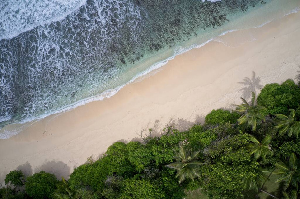 Drone field of view of waves along empty beach Praslin Seychelles. - Photo, image