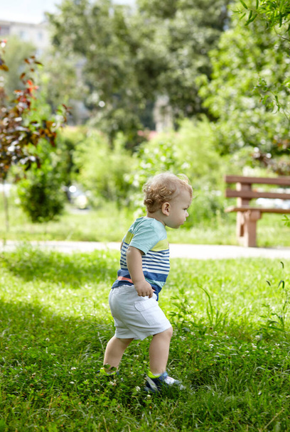 Little boy walking in the park. The concept of a happy childhood, summer outdoor recreation, summer vacation - Fotoğraf, Görsel