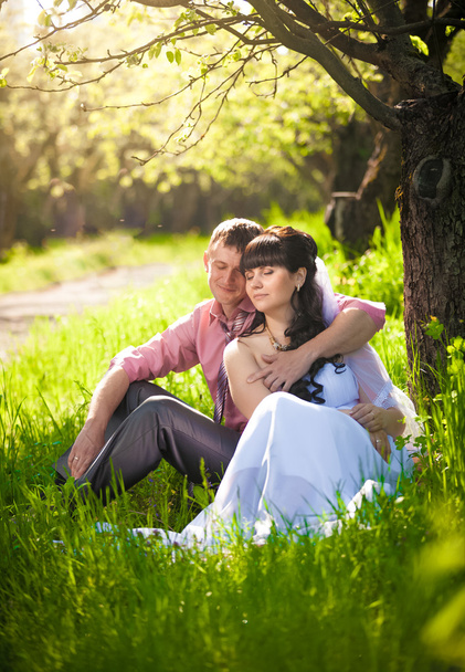 ちょうど結婚されていたカップルやま公園でツリーの下で - 写真・画像