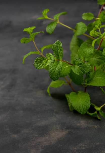 Close up of Fresh mint leaves on a stone texture background - Photo, Image