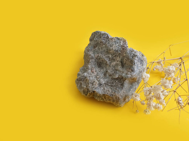 камінь, квітка гіпсофіли на кольоровому фоні
 - Фото, зображення