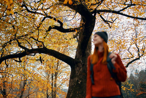 mujer en el parque con una mochila en su respaldo relajarse aire fresco árboles altos paisaje - Foto, imagen