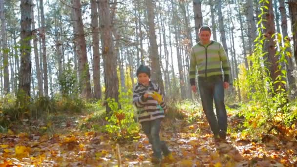 familie wandelen in herfst woud - Video, Çekim