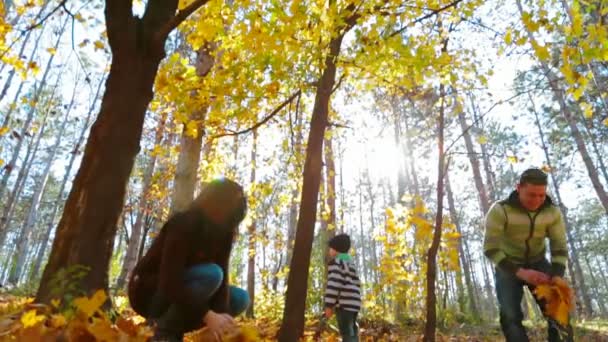 rodinné procházky v podzimním lese - Záběry, video