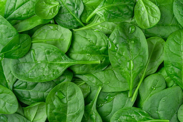 Fresh organic spinach background. Healthy eating - Photo, Image