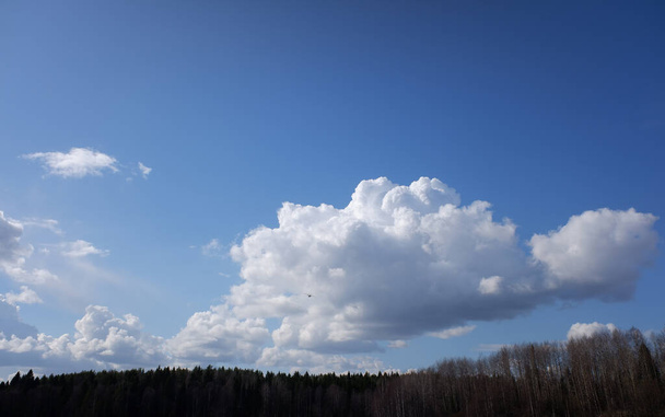 Το αεροπλάνο πετάει πάνω από τις περιπόλους του δάσους για να βρει φωτιά. μπλε ουρανός με σύννεφα ηλιόλουστη μέρα. αντίγραφο χώρου. - Φωτογραφία, εικόνα