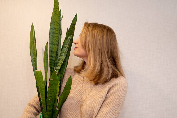 Woman with big houseplant with large green leaves. Love for plants. harmony with nature at home - Foto, immagini