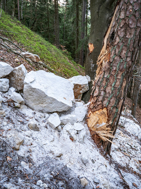 Зламані кам'яні валуни падають з пісковиків і заблоковують лісову стежку. Парк Чехії, на північ від Чехії.. - Фото, зображення