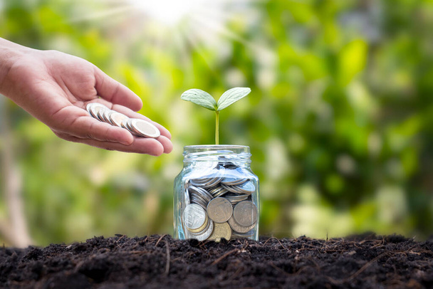 Geef munten aan een fles met geplante bomen geïnvesteerd business groei ideeën. - Foto, afbeelding