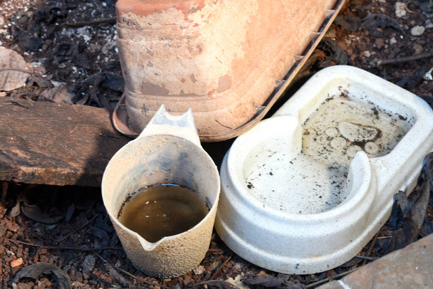 cuenco de plástico abandonado en un jarrón con agua estancada dentro. Vista de cerca. mosquitos en un potencial caldo de cultivo - Foto, imagen