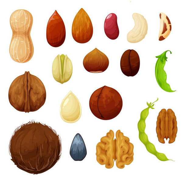 Ořechy a fazole přírodní potravní semena vektorové ikony kešu a mandlí, arašídy a pistácií. Vegetariánská syrová bio strava kokosový ořech, lískový ořech a vlašský ořech, kávová zrna a ledviny, lusková lusky nebo lusková zelenina - Vektor, obrázek