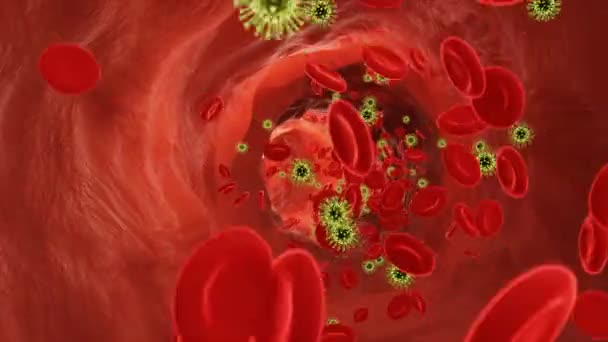 Rode bloedcellen die stromen van virussen in een slagader. 3d video - Video