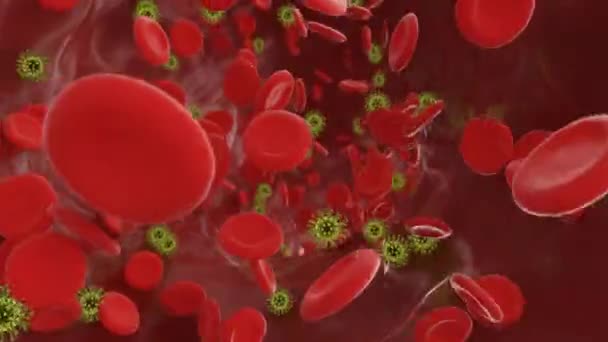 Vírusokkal teli vörösvértestek egy artériában. 3D videó - Felvétel, videó