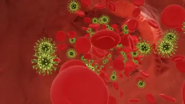 Τα ερυθρά αιμοσφαίρια ρέουν με ιούς σε μια αρτηρία. 3D βίντεο - Πλάνα, βίντεο