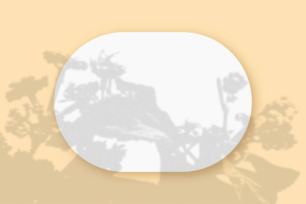 Mockup con ombre vegetali sovrapposte su un foglio ovale di carta bianca strutturata su sfondo beige. Orientamento orizzontale - Foto, immagini