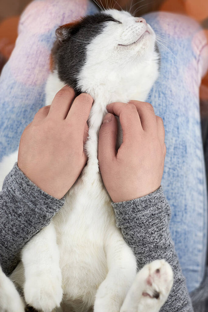 Femme caressant un chat, qui se trouve sur ses genoux, le thème de l'amitié avec les animaux de compagnie. - Photo, image