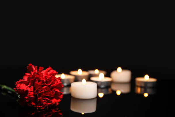 Burning candles and carnation flower on dark background - Foto, Imagen