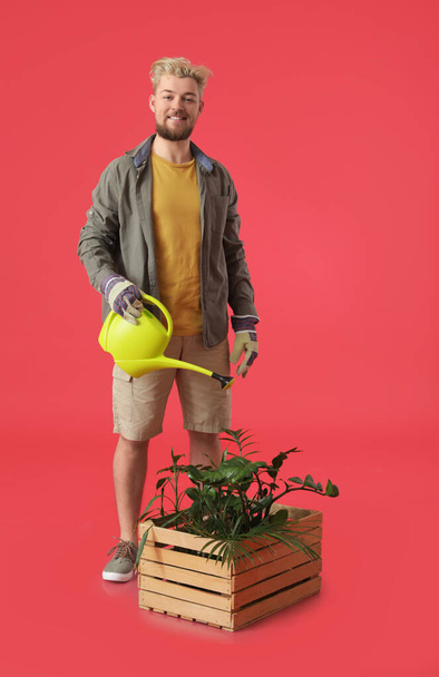 Fiatal férfi kertész színes háttér - Fotó, kép