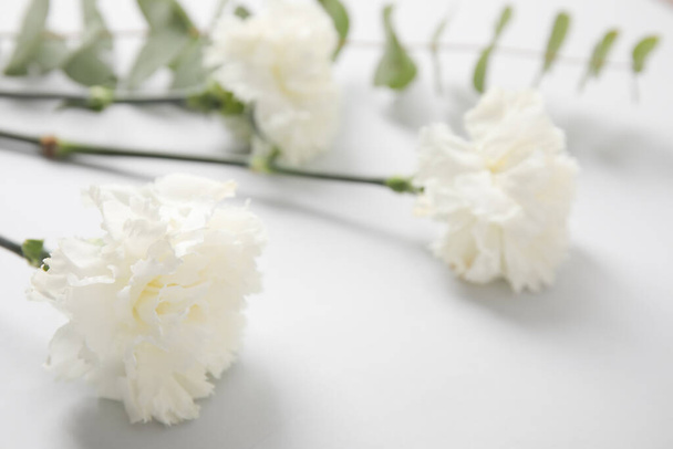 Fresh carnation flower on grey background - Foto, Bild