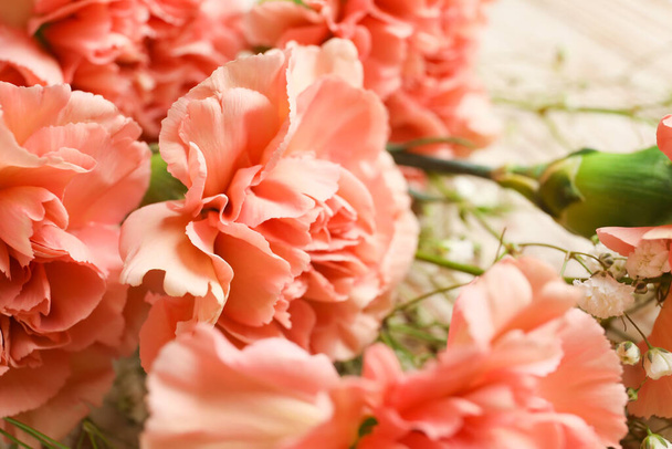 Fleurs d'oeillet fraîches, vue rapprochée - Photo, image