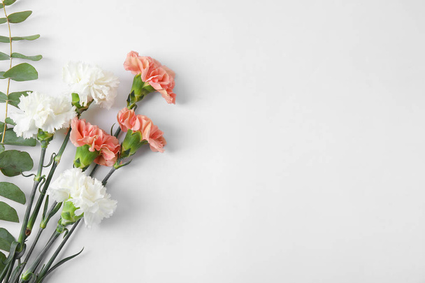 Fresh carnation flowers on white background - Fotoğraf, Görsel