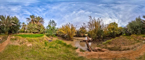 Exuberantes plantas verdes en el oasis del desierto de Meski contra el cielo azul, Marruecos - Foto, Imagen