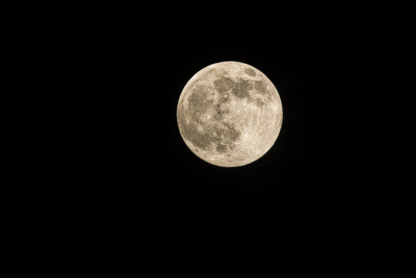 Shot of full moon with space for text. - Photo, Image