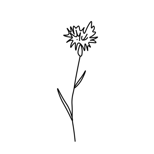 黒のラインを持つ1つの単純なベクトルの花。孤立した背景に植物性手描きイラスト。ヴィンテージのドアスタイルの写真。. - ベクター画像