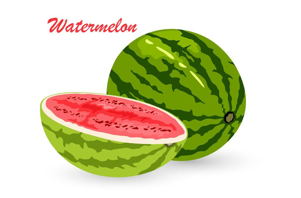 Cartoon mellow armelon fruit - Вектор,изображение