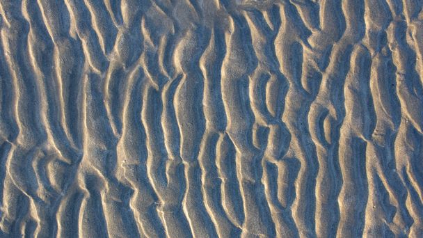 干潮時の平らな砂浜の自然砂のパターン. - 写真・画像