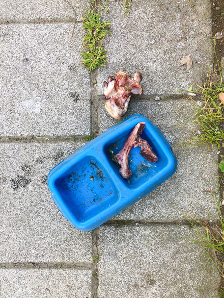 rohes Fleisch und Knochen auf dem Bürgersteig für Straßenhunde - Foto, Bild