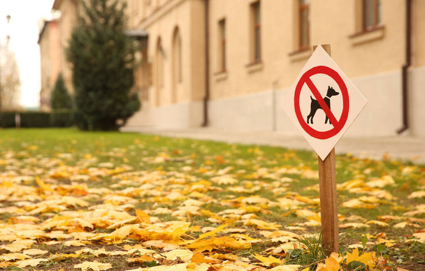 No dogs allowed sign in park on sunny autumn day - Фото, зображення