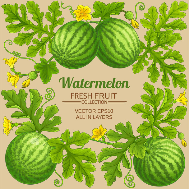 watermelon frame on color background - Vettoriali, immagini