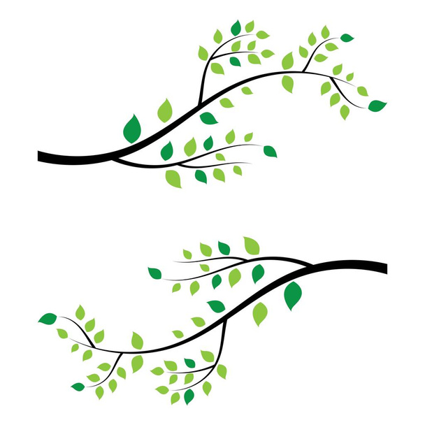 tree branch vector ilustration design template - Vector, Image