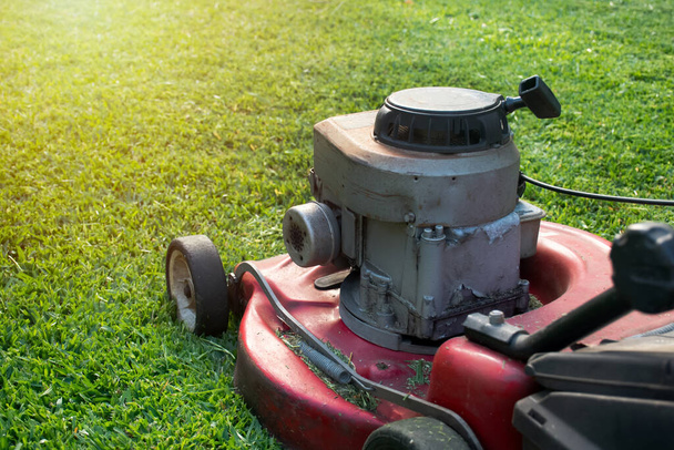 古いスタイルのガソリン芝生の芝刈り機で芝生を刈る晴れた夏の日に赤い芝生の芝刈り機。庭のコンセプトの背景 - 写真・画像