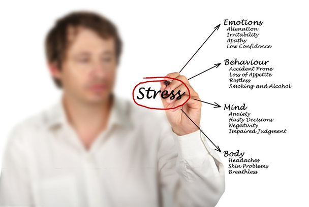 Schema delle conseguenze dello stress
 - Foto, immagini
