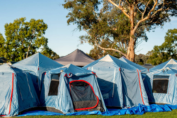 Палатки расставлены для группового кемпинга на зеленом лугу. Несколько синих соединительных палаток на кемпинге. - Фото, изображение
