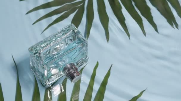 Bottle of perfume and tropical leaves in water - Footage, Video