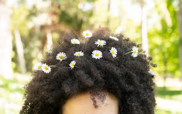афро-волос с daisies в парке - Фото, изображение