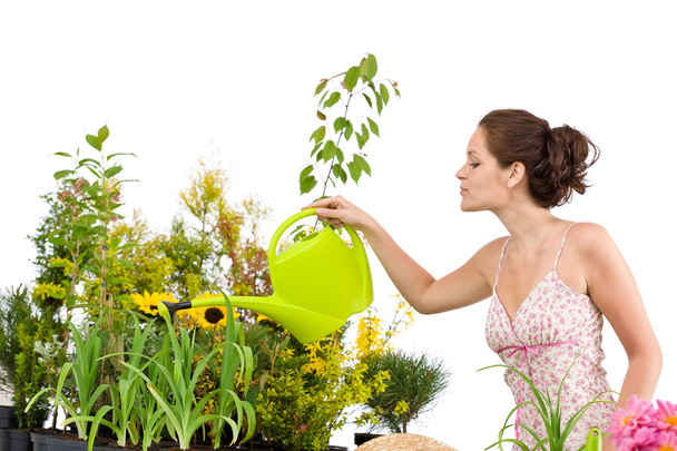 Gardening - Woman pouring water to plants with watering can on white background - Foto, Imagem
