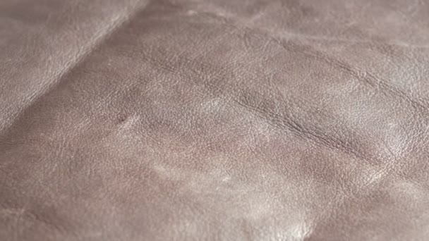 Cuir marron, texture de cuir véritable, motif de cuir véritable, gros plan, cuir à partir duquel vous pouvez faire des chaussures, des sacs et des portefeuilles, le concept d'un tanneur et de travailler avec du cuir - Séquence, vidéo