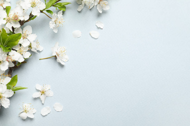 Blossoming spring tree branches as border on light background, flat lay. Space for text - Fotó, kép